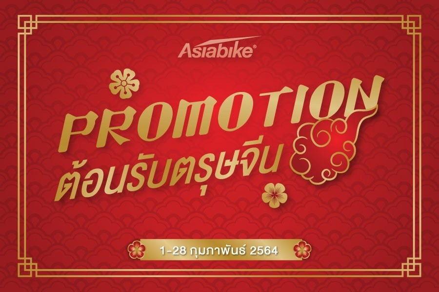 Promotion chinese new year 2021