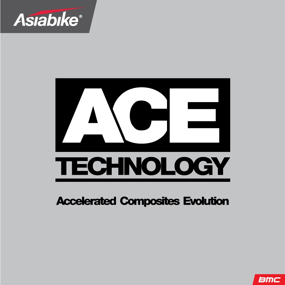 BMC ACE Technology (Accelerated Composition Evolution Technology)
