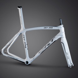 CKT 398 (2013)